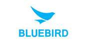 Bluebird